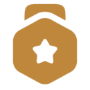 values-icon